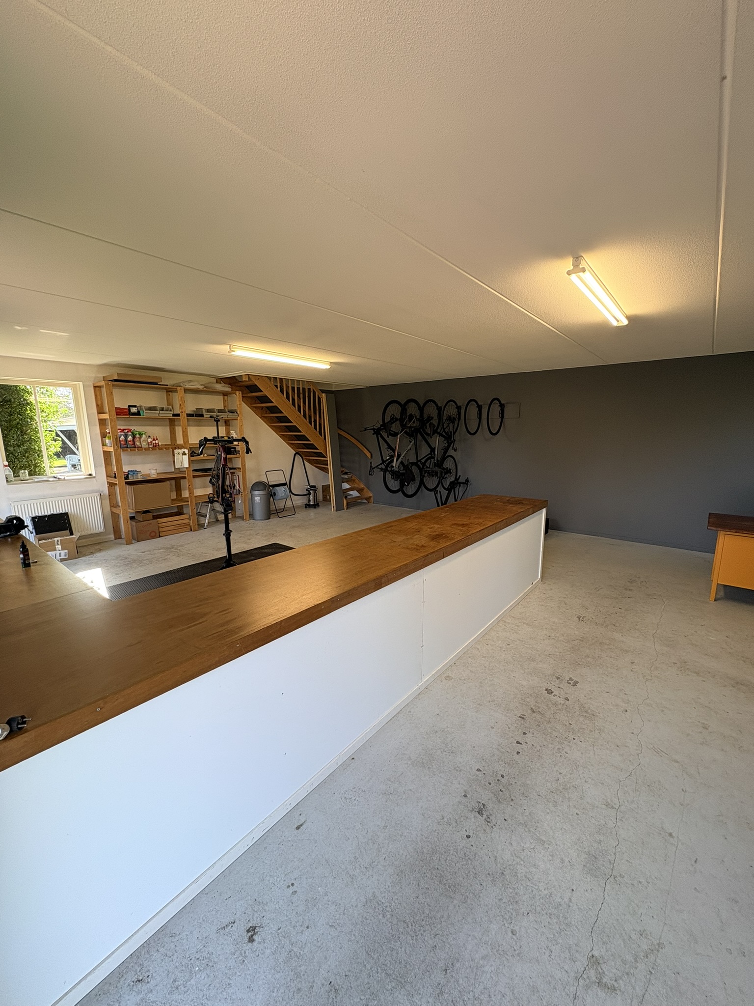 Werkplaats Van Steensel Wielersport — overzicht met balie